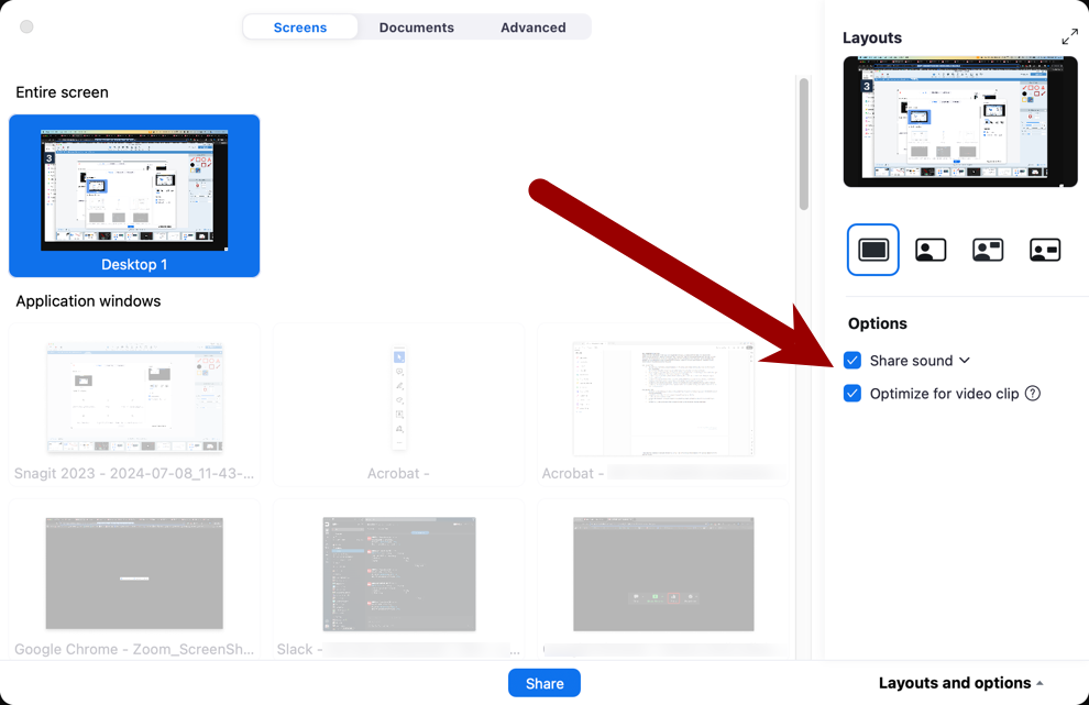 Screenshot of Share sound and Optimize for video clip checkboxes