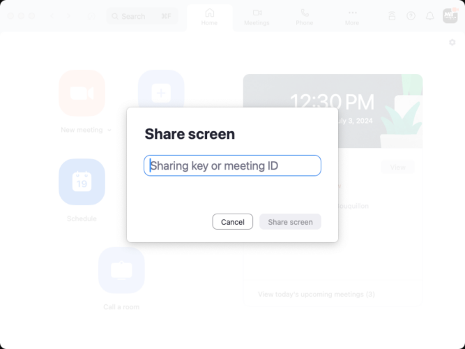 Screetshot of the share screen dialog in the zoom desktop application to enter in the sharing key or meeting id